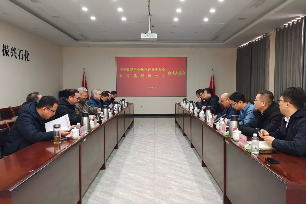 <strong>中国节能协会热电产业委员会一行深度调研中</strong>