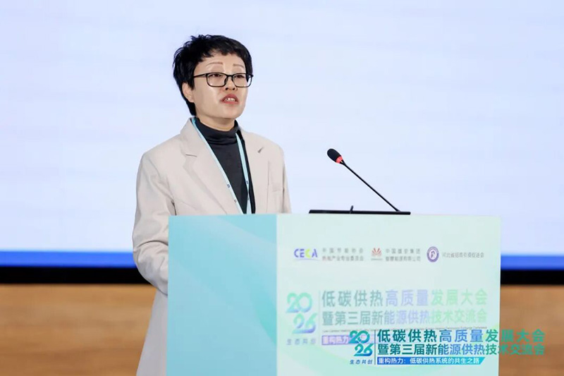 重构热力·共绘新型零碳热力系统新蓝图|2026低碳供热高质量发展大会在雄安成功举办(图5) 王兴华.jpg